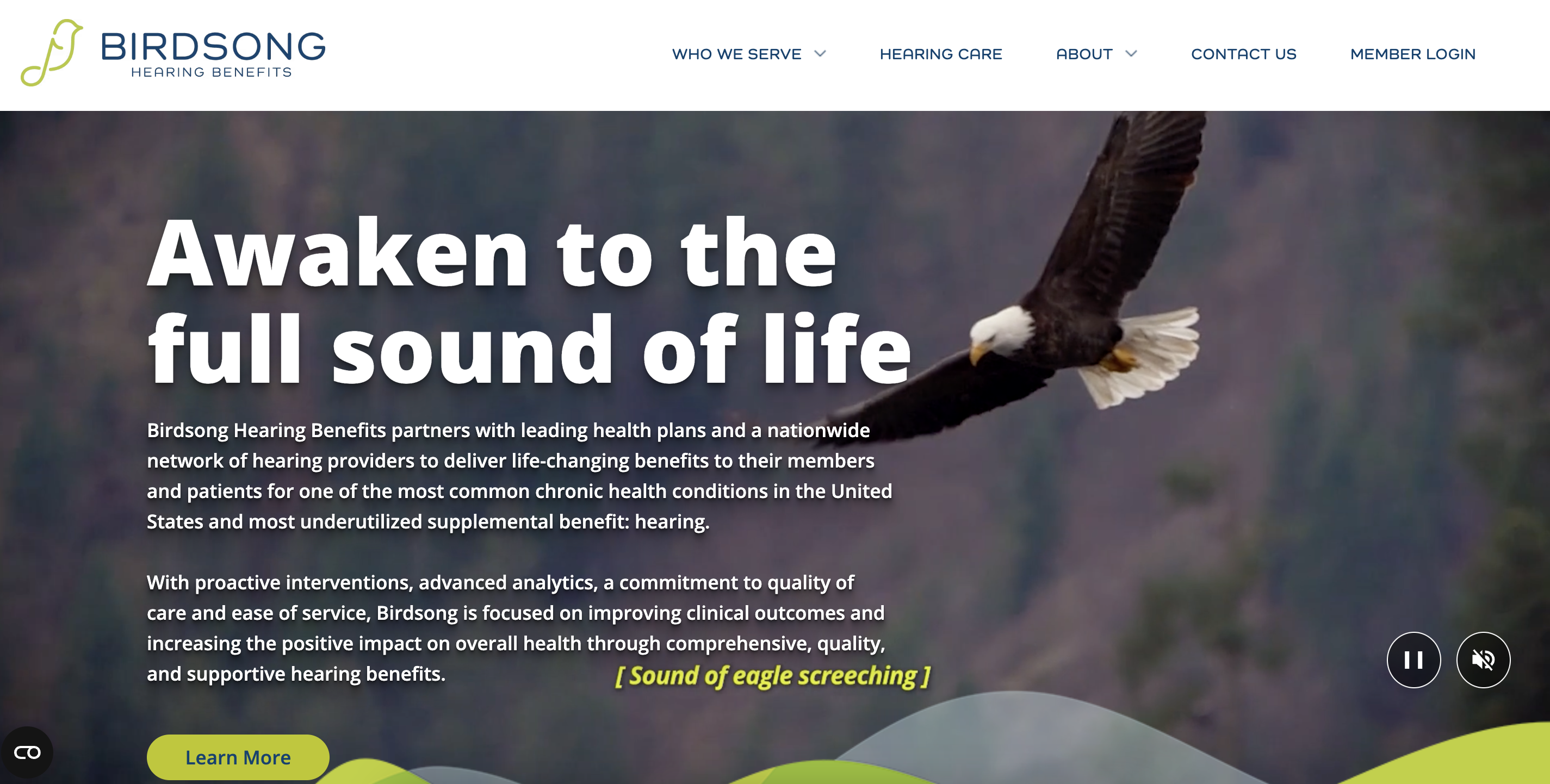 Birdsong Hearing Benefits website with an eagle in flight
