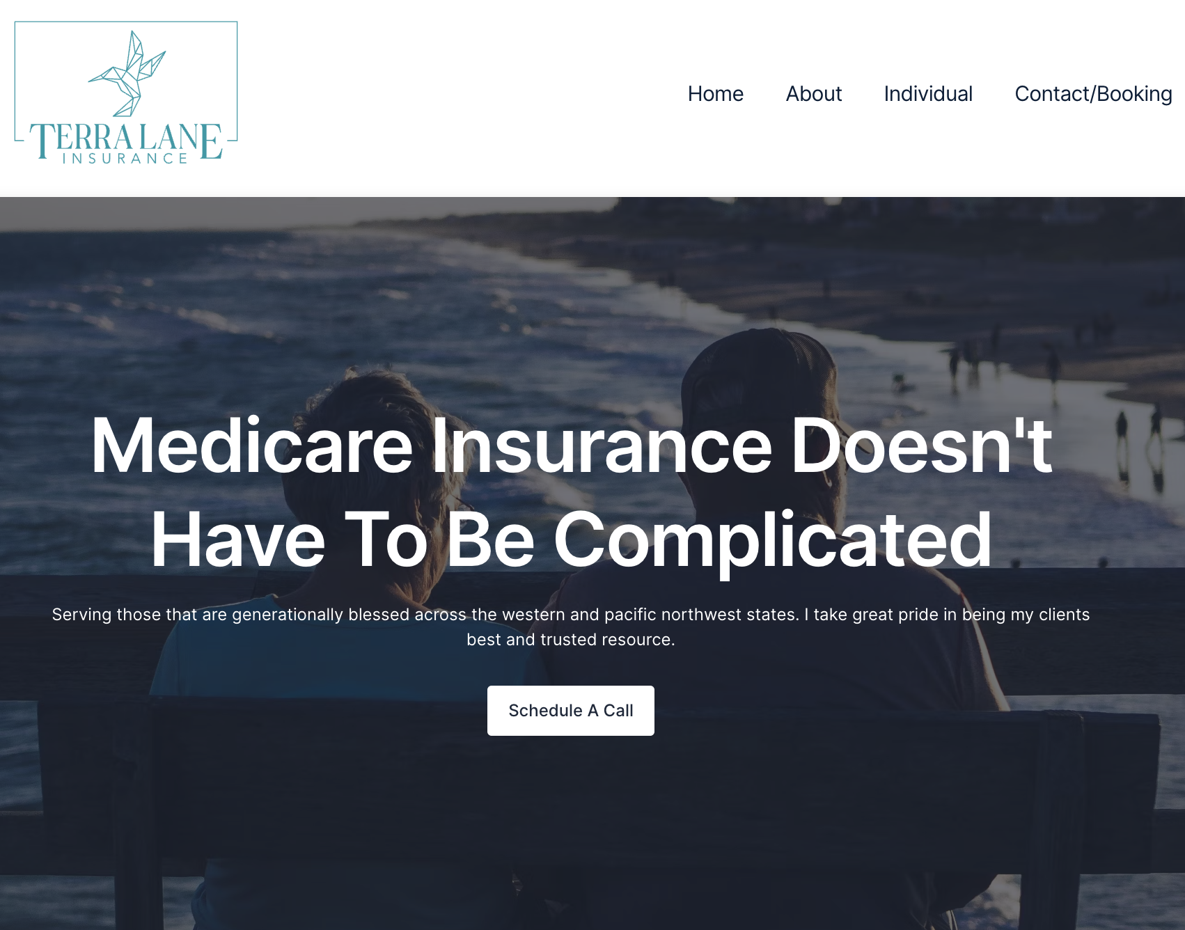 Terra Lane Insurance website displayed on desktop